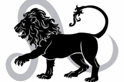 Leo zodiac horoscope astrology sign